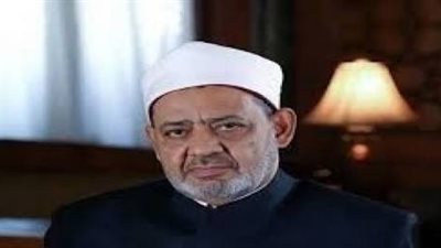 الطيب يقاضي وزير الثقافة بسبب سرقة مناهج الأزهر 