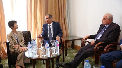 اليابان تدعو مصر لحضور مؤتمر طوكيو الدولي السابع الشهر المقبل 