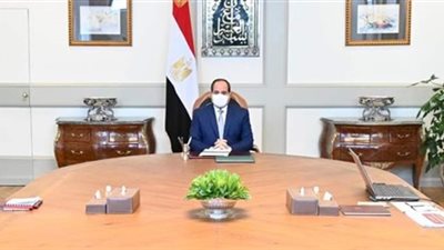 الرئيس السيسي يوجه بسرعة تطوير قطاع النقل البحري 