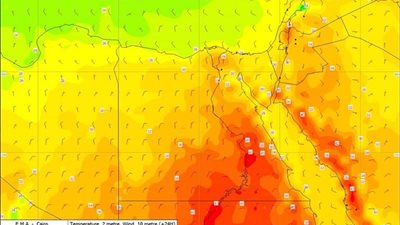 طقس اليوم: مائل للحرارة علي القاهرة... معتدل علي السواحل الشمالية 